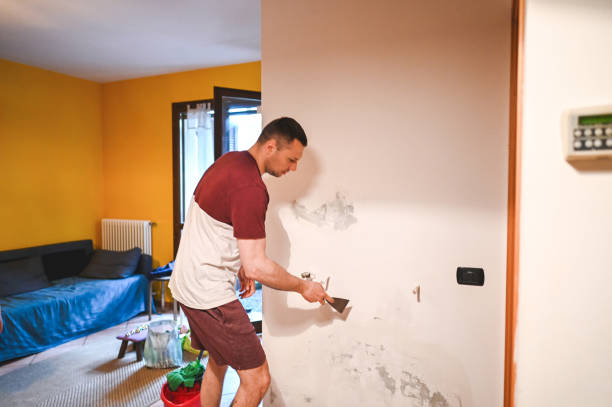 Best Mold Testing  in Tellico Village, TN